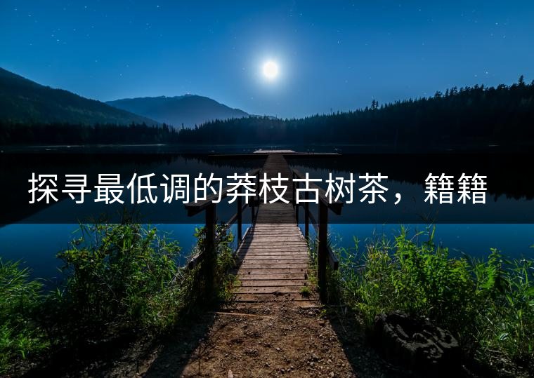 探尋最低調(diào)的莽枝古樹茶，籍籍無名出好茶