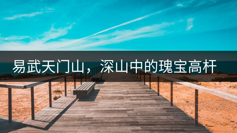 易武天門山，深山中的瑰寶高桿古樹