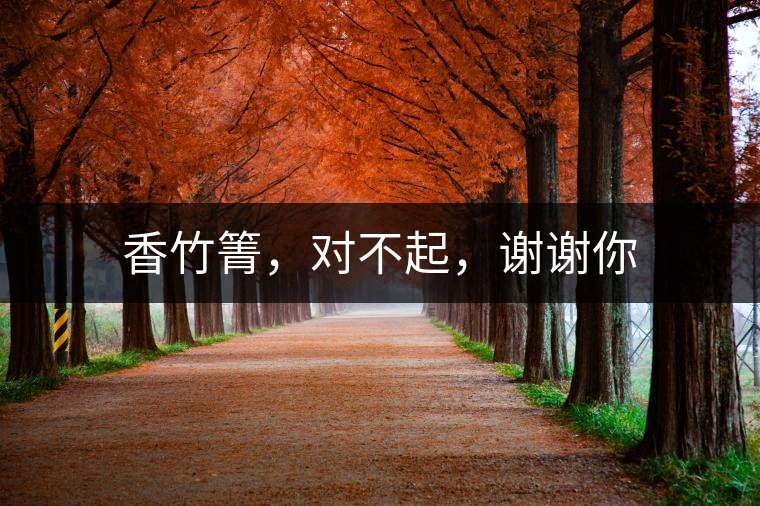 香竹箐，對(duì)不起，謝謝你