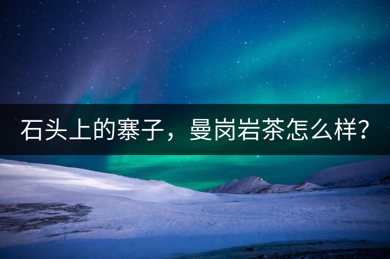 石頭上的寨子，曼崗巖茶怎么樣？