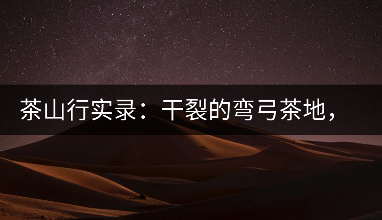 茶山行實錄：干裂的彎弓茶地，干旱減產(chǎn)已成定局