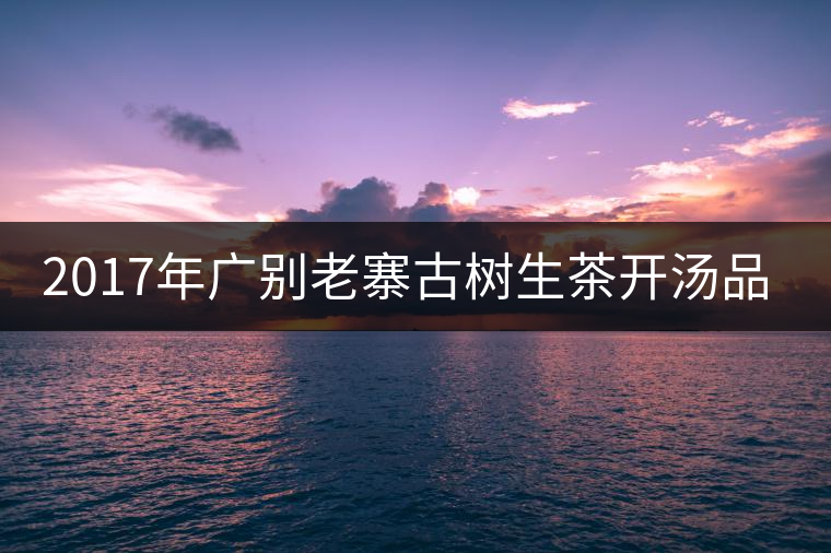 2017年廣別老寨古樹生茶開湯品鑒 2017年廣別老寨古樹生茶開湯品鑒