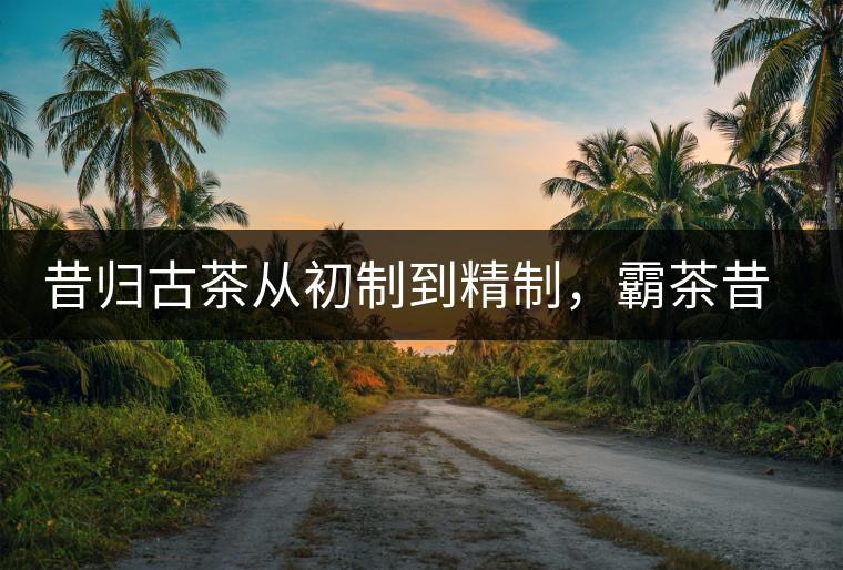 昔歸古茶從初制到精制，霸茶昔歸茶農(nóng)專業(yè)合作社成立