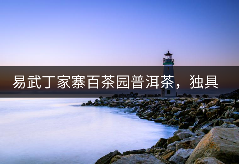 易武丁家寨百茶園普洱茶，獨具魅力的原始古樹茶