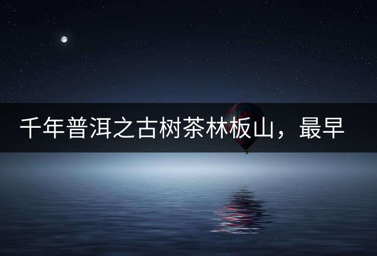 千年普洱之古樹(shù)茶林板山，最早的貢茶產(chǎn)地和皇家茶園