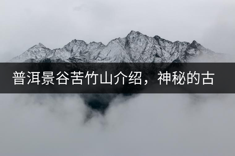 普洱景谷苦竹山介紹，神秘的古樹普洱茶原產(chǎn)地