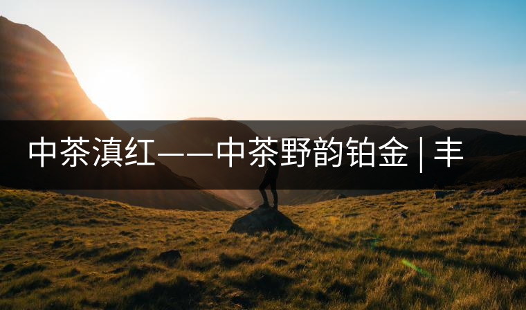中茶滇紅——中茶野韻鉑金 | 豐苗挺秀，山野花香