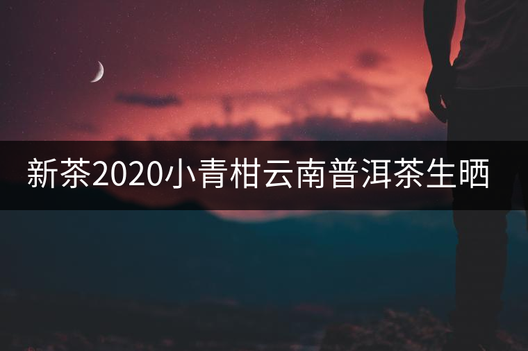 新茶2020小青柑云南普洱茶生曬鮮當(dāng)季正宗新會糯米香散一罐裝250g