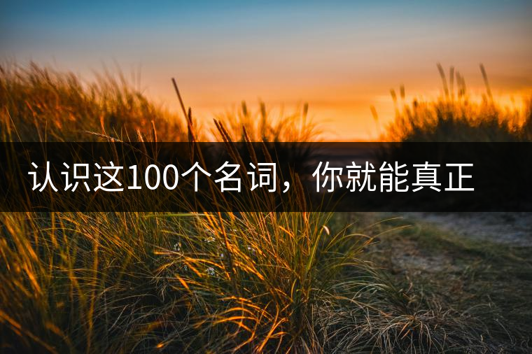 認(rèn)識(shí)這100個(gè)名詞，你就能真正了解普洱茶？