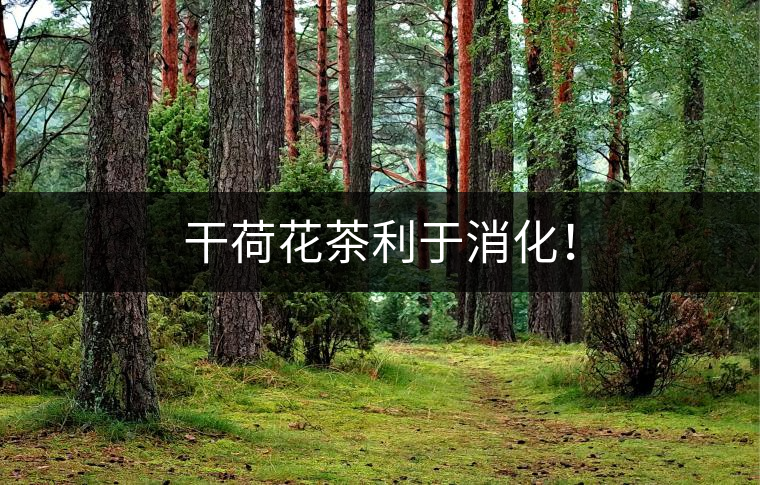 干荷花茶利于消化！