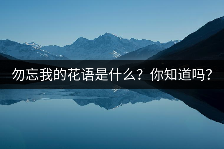 勿忘我的花語是什么？你知道嗎？
