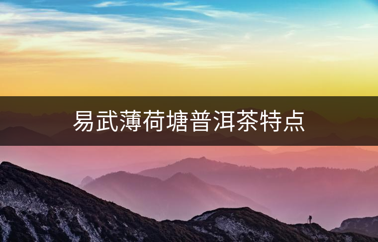 易武薄荷塘普洱茶特點 易武薄荷塘普洱茶特點