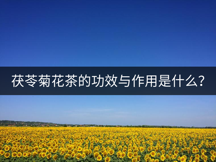 茯苓菊花茶的功效與作用是什么？