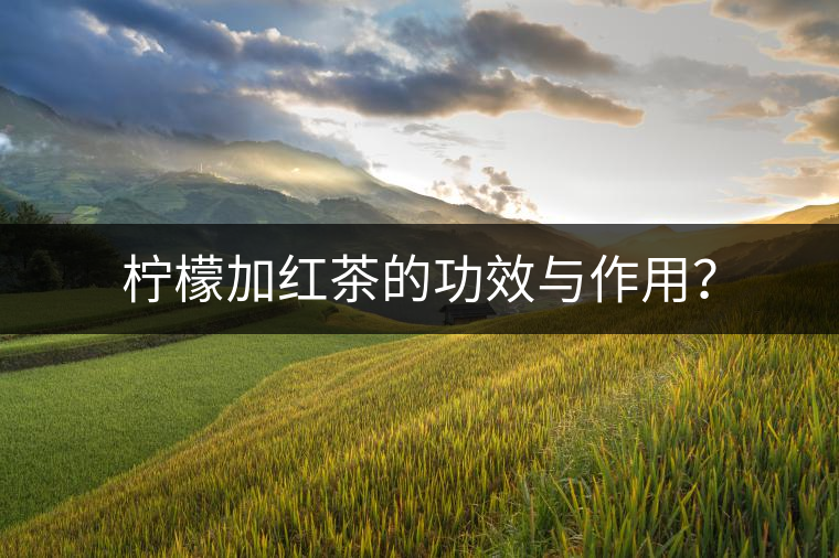 檸檬加紅茶的功效與作用？