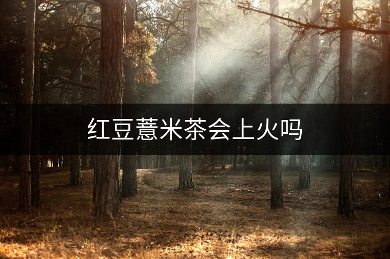 紅豆薏米茶會上火嗎