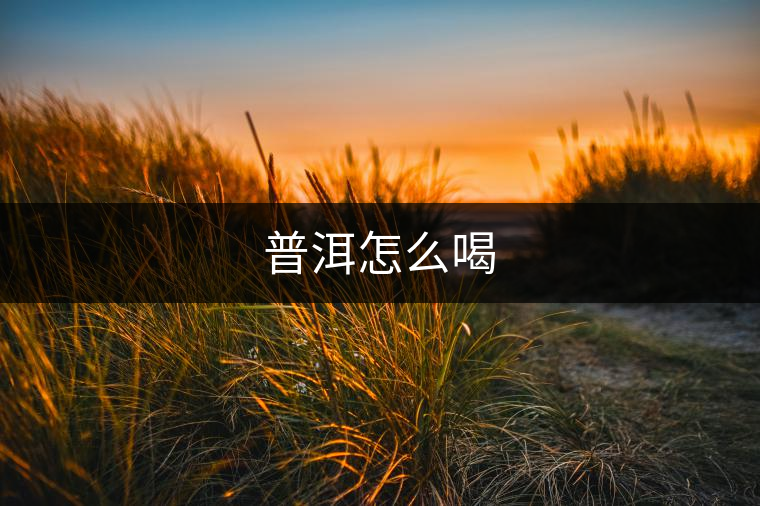 普洱怎么喝 普洱怎么喝