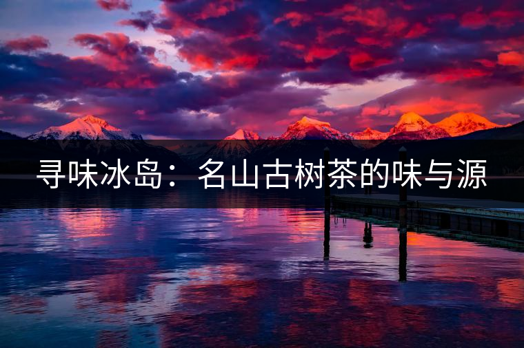 尋味冰島：名山古樹(shù)茶的味與源