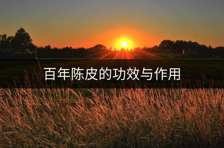 百年陳皮的功效與作用 百年陳皮的功效與作用