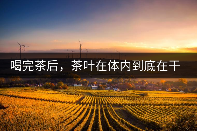 喝完茶后，茶葉在體內到底在干嘛，游走的茶水