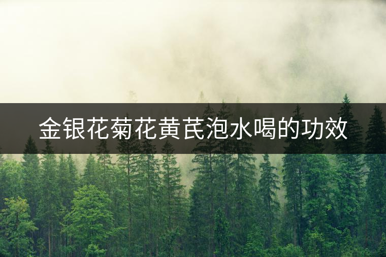金銀花菊花黃芪泡水喝的功效