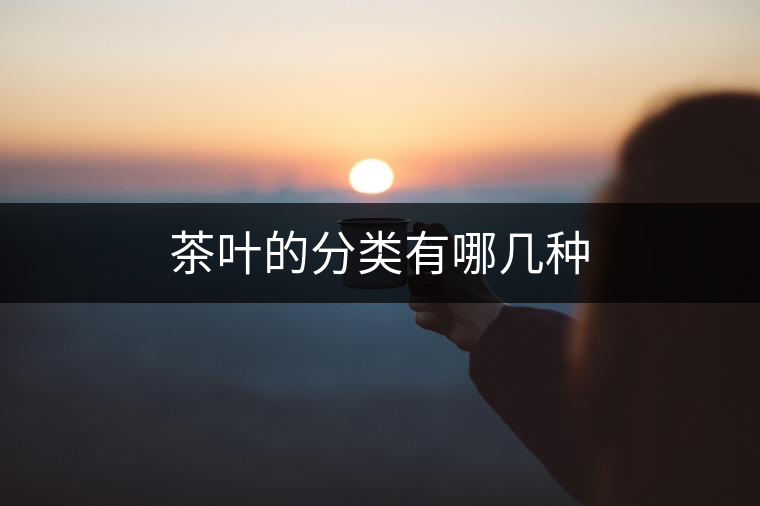 茶葉的分類(lèi)有哪幾種 茶葉的分類(lèi)有哪幾種