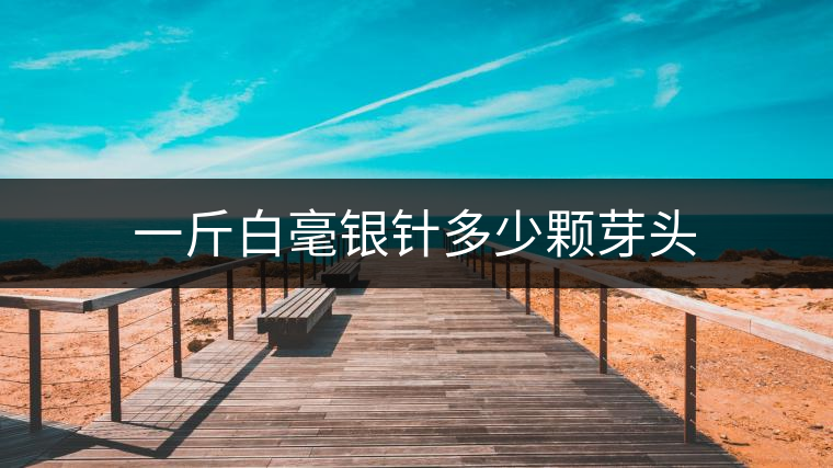 一斤白毫銀針多少顆芽頭