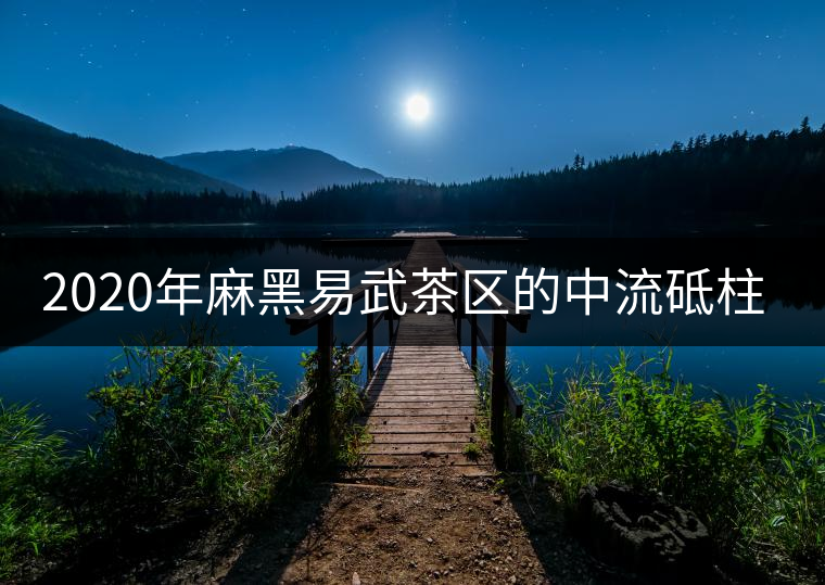 2020年麻黑易武茶區(qū)的中流砥柱-易武中聘號 2020年麻黑易武茶區(qū)的中流砥柱-易武中聘號