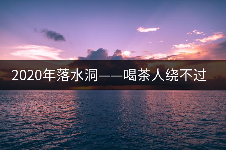 2020年落水洞——喝茶人繞不過的溫柔鄉(xiāng)！-易武中聘號