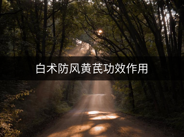 白術(shù)防風(fēng)黃芪功效作用 白術(shù)防風(fēng)黃芪功效作用