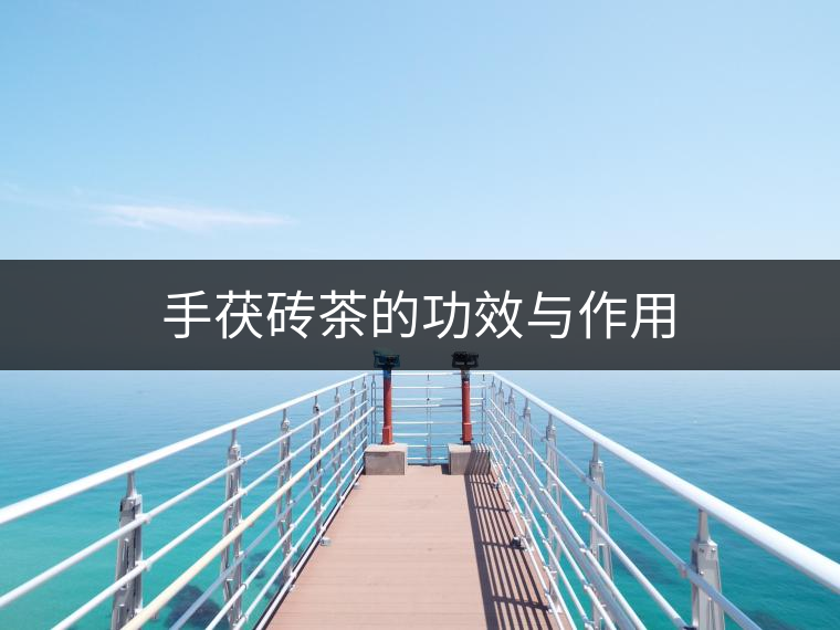 手茯磚茶的功效與作用