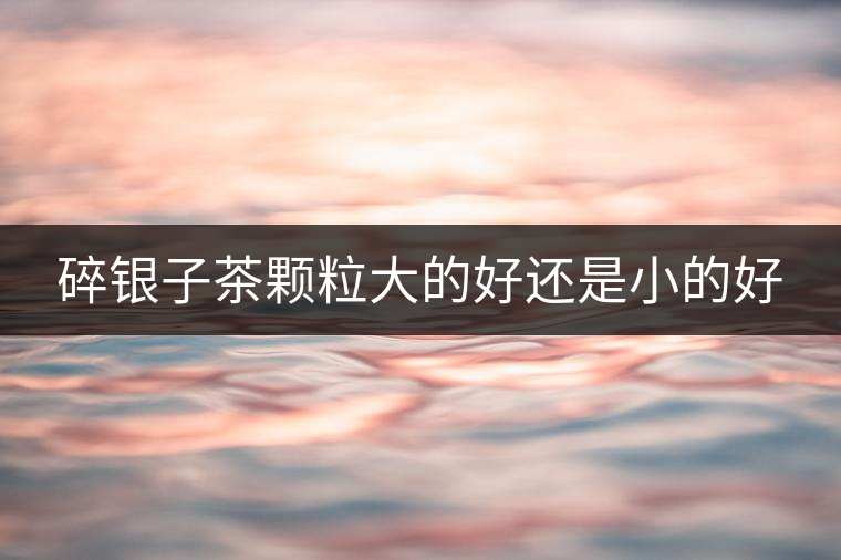 碎銀子茶顆粒大的好還是小的好 碎銀子茶顆粒大的好還是小的好