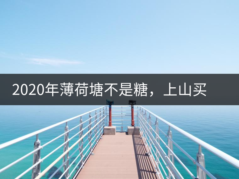 2020年薄荷塘不是糖，上山買茶除了帶鈔票還得搖號(hào)-易武中聘號(hào)