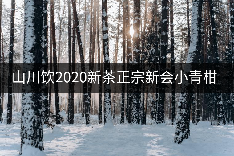 山川飲2020新茶正宗新會小青柑普洱茶陳皮熟茶柑普橘茶葉100g送禮