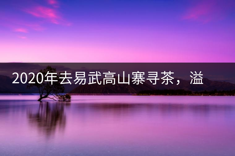 2020年去易武高山寨尋茶，溢滿茶香的古樹(shù)寨子-易武中聘號(hào)