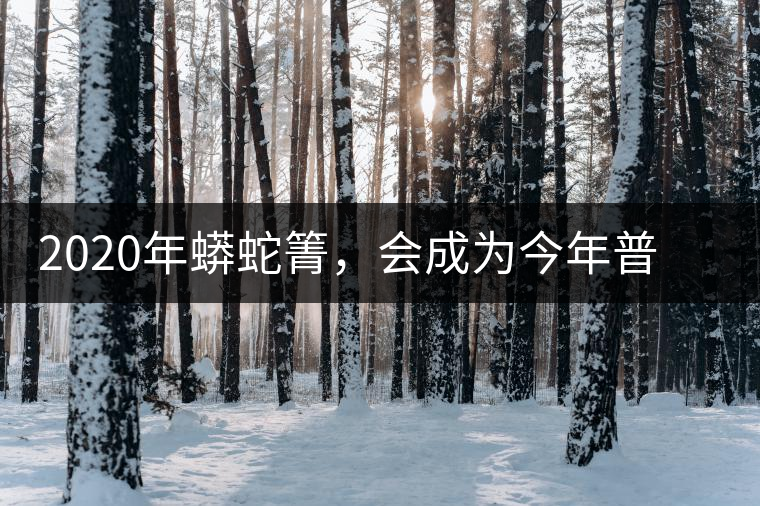 2020年蟒蛇箐，會(huì)成為今年普洱茶的炒作熱點(diǎn)嗎？-易武中聘號(hào)