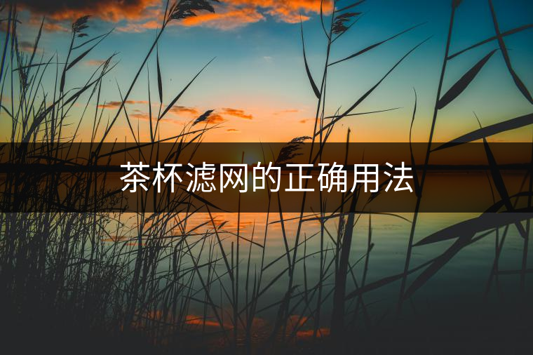 茶杯濾網(wǎng)的正確用法 茶杯濾網(wǎng)的正確用法