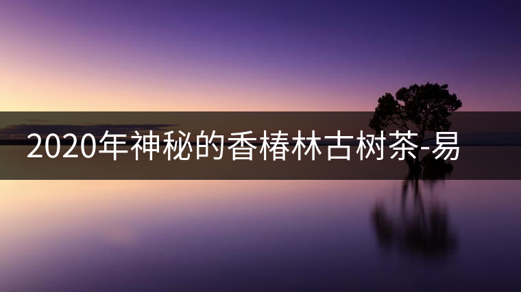 2020年神秘的香椿林古樹茶-易武中聘號 2020年神秘的香椿林古樹茶-易武中聘號