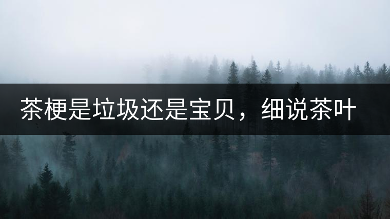 茶梗是垃圾還是寶貝，細(xì)說茶葉的那些梗