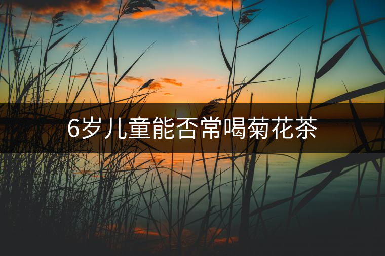 6歲兒童能否常喝菊花茶 6歲兒童能否常喝菊花茶