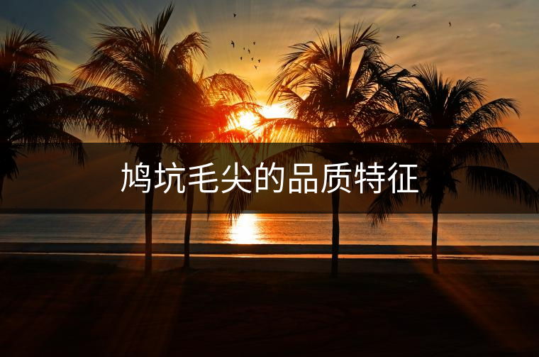 鳩坑毛尖的品質(zhì)特征 鳩坑毛尖的品質(zhì)特征