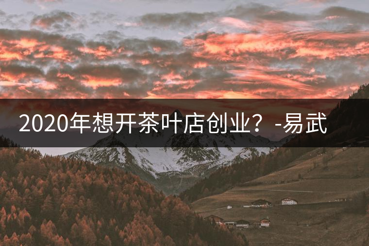 2020年想開茶葉店創(chuàng)業(yè)？-易武中聘號(hào)