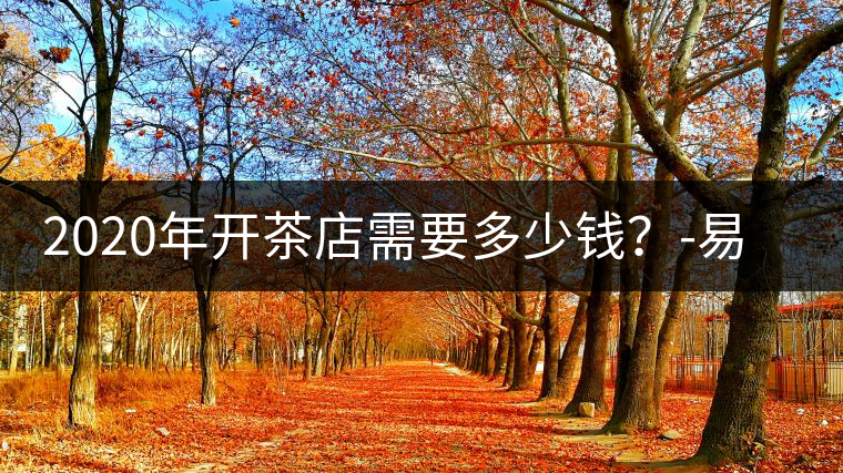 2020年開茶店需要多少錢？-易武中聘號