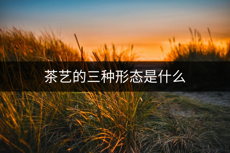 茶藝的三種形態(tài)是什么 茶藝的三種形態(tài)是什么