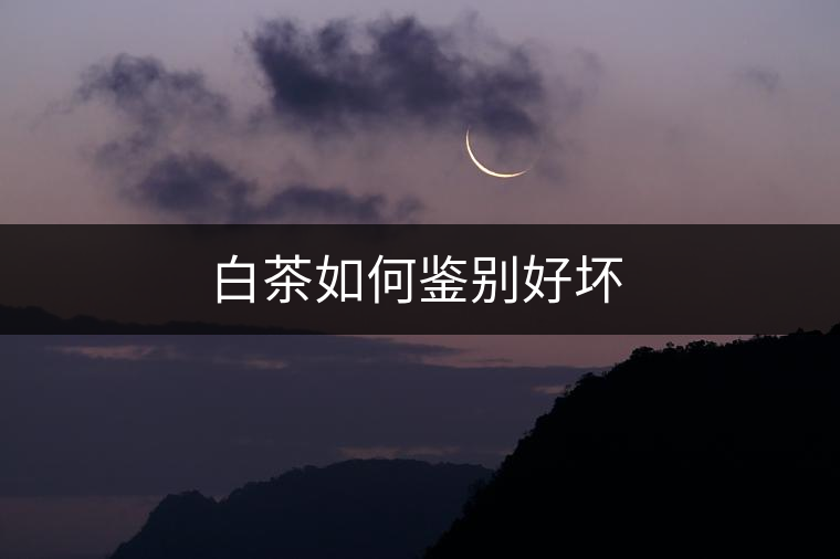 白茶如何鑒別好壞 白茶如何鑒別好壞