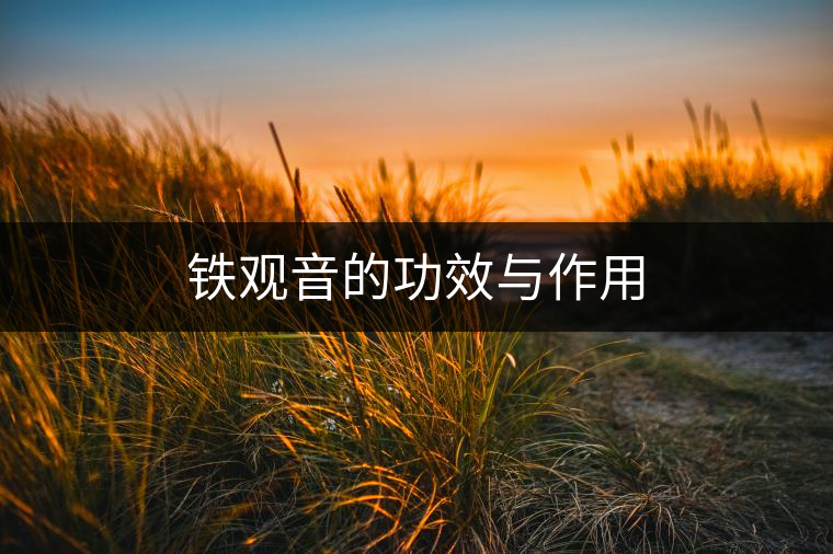 鐵觀音的功效與作用