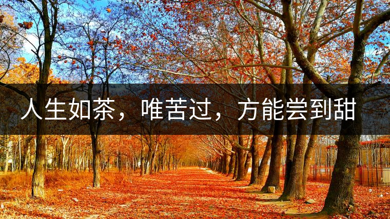 人生如茶，唯苦過，方能嘗到甜滋味