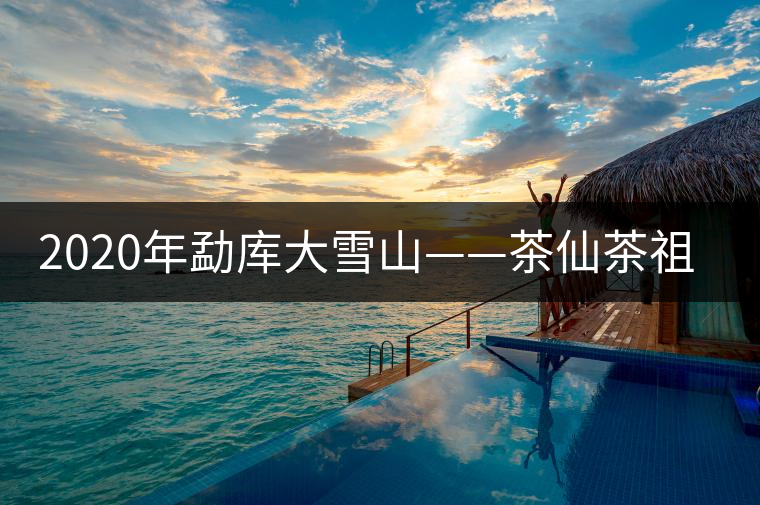 2020年勐庫大雪山——茶仙茶祖居住的地方-易武中聘號(hào) 2020年勐庫大雪山——茶仙茶祖居住的地方-易武中聘號(hào)