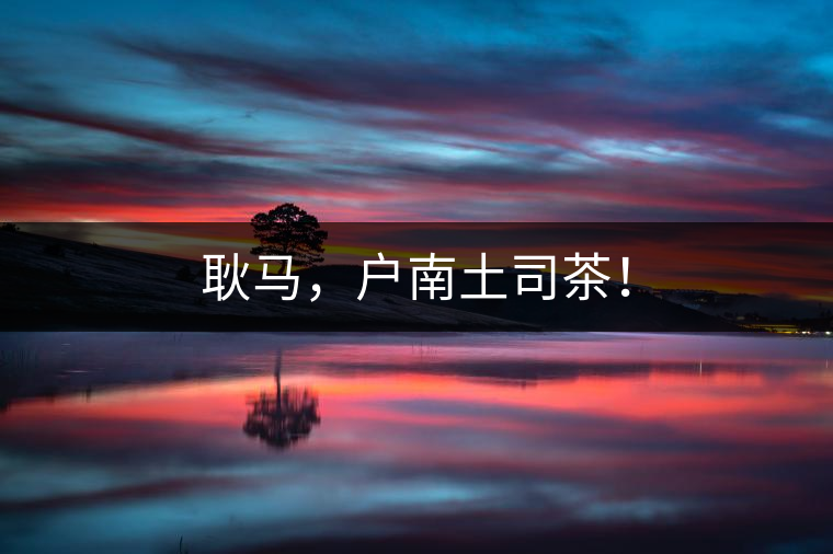 耿馬，戶南土司茶！