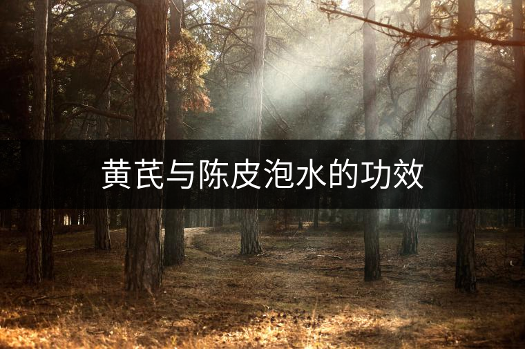 黃芪與陳皮泡水的功效 黃芪與陳皮泡水的功效