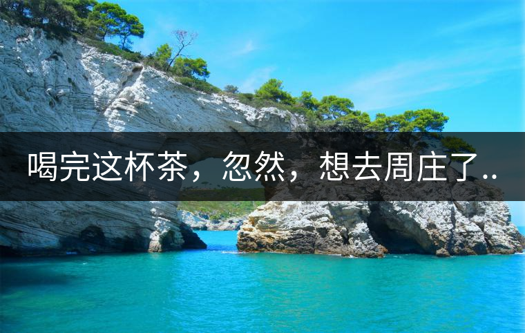 喝完這杯茶，忽然，想去周莊了...